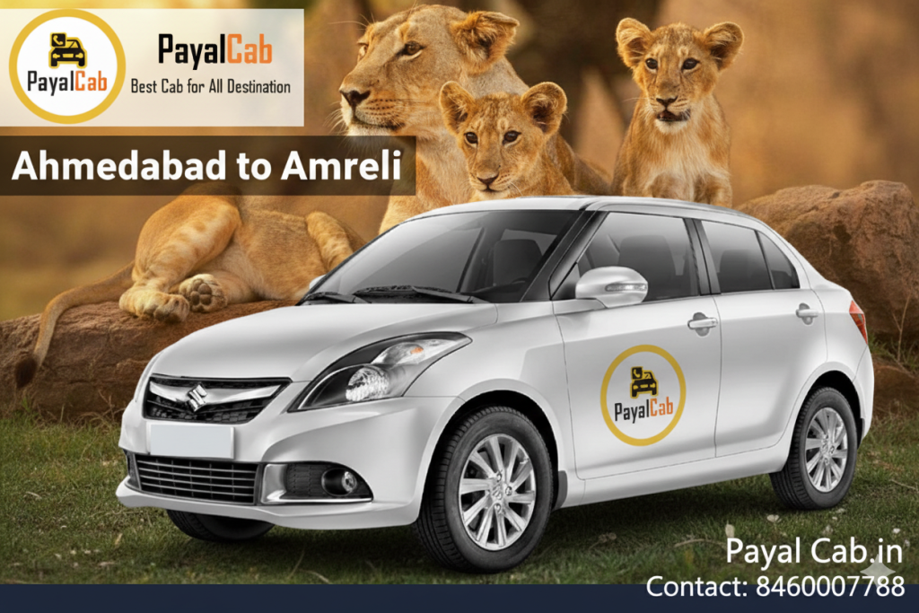  How much is a taxi from Ahmedabad to Amreli? Payal Cab